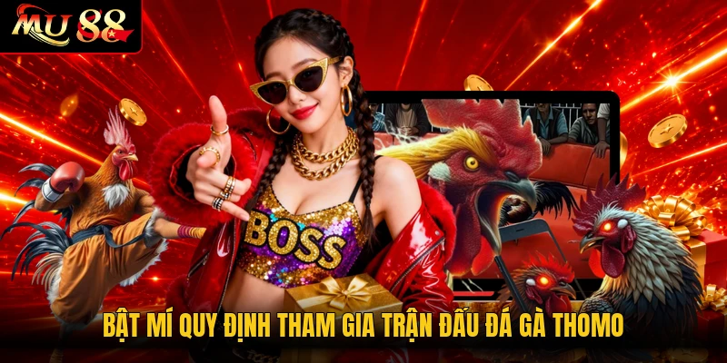 Bật mí quy định tham gia trận đấu đá gà Thomo