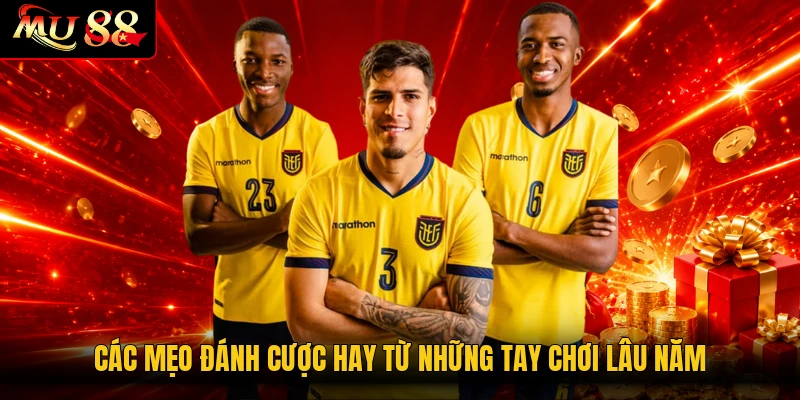 Các mẹo đánh cược hay từ những tay chơi lâu năm