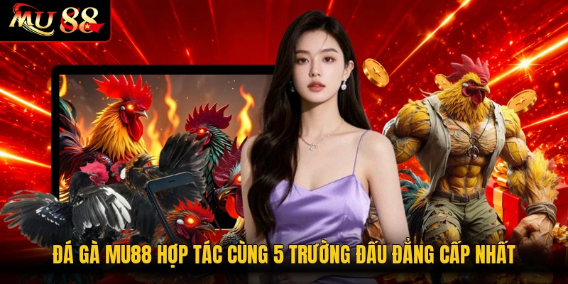 Đá gà MU88 hợp tác cùng 5 trường đấu đẳng cấp nhất