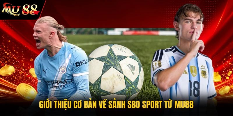 Giới thiệu cơ bản về sảnh Sbo Sport từ MU88
