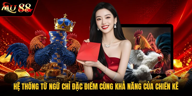 Hệ thống từ ngữ chỉ đặc điểm cùng khả năng của chiến kê