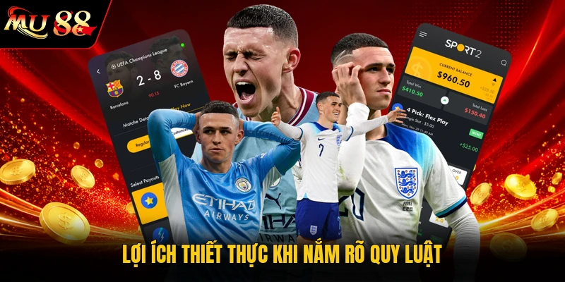 Lợi ích thiết thực khi nắm rõ quy luật