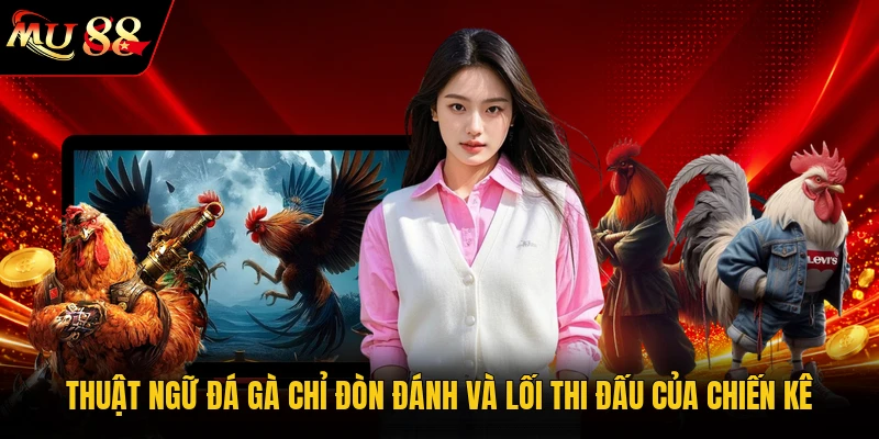 Thuật ngữ đá gà chỉ đòn đánh và lối thi đấu của chiến kê